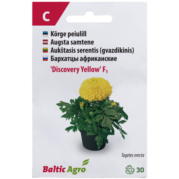 Peiulill 'Discovery Yellow'