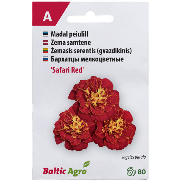 Бархатцы мелкоцветные 'Safari Red'