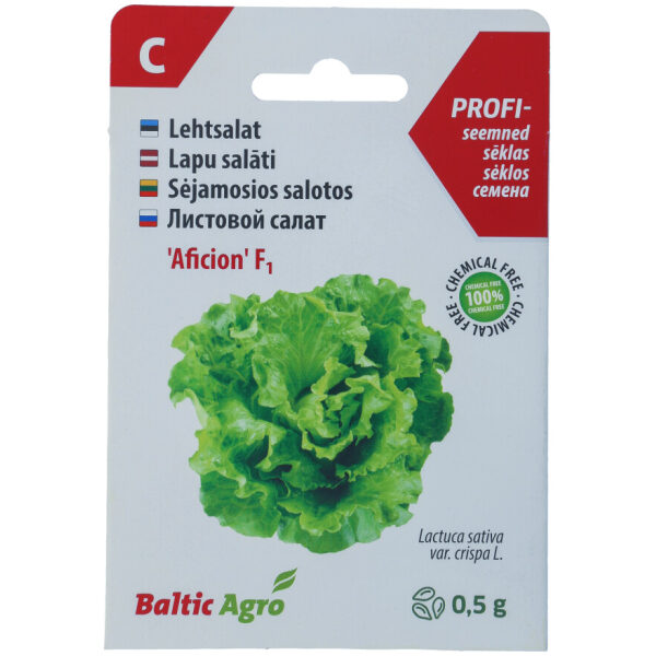 Lettuce Seeds 'Aficion' GrandRapids
