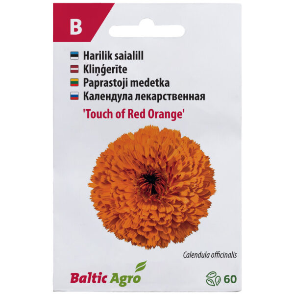 Saialill 'Touch of Red Orange'
