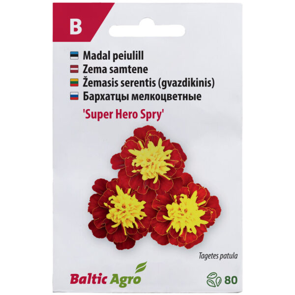 Marigold 'Super Hero Spry'