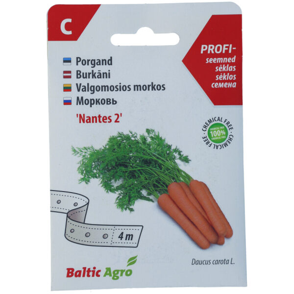 Carrot 'Nantes 2'