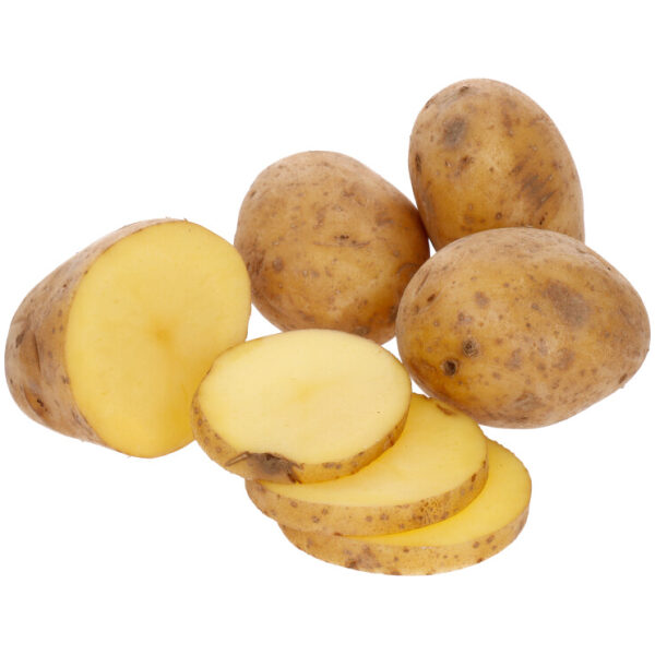 Seed Potato 'Teele'
