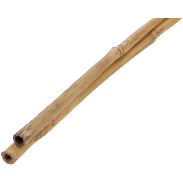 Plant Bamboo Suport Stake 1,5 m