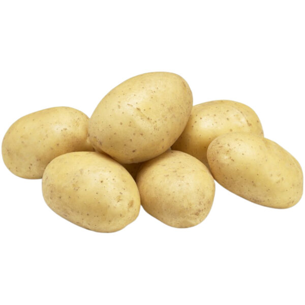 Seed Potato 'Ranomi'