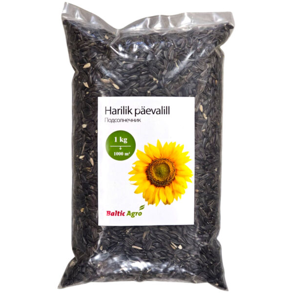 Päevalill 1 kg