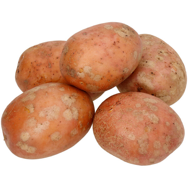 Seemnekartul 'Laura' 2,5 kg