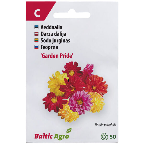Daalia 'Garden Pride'