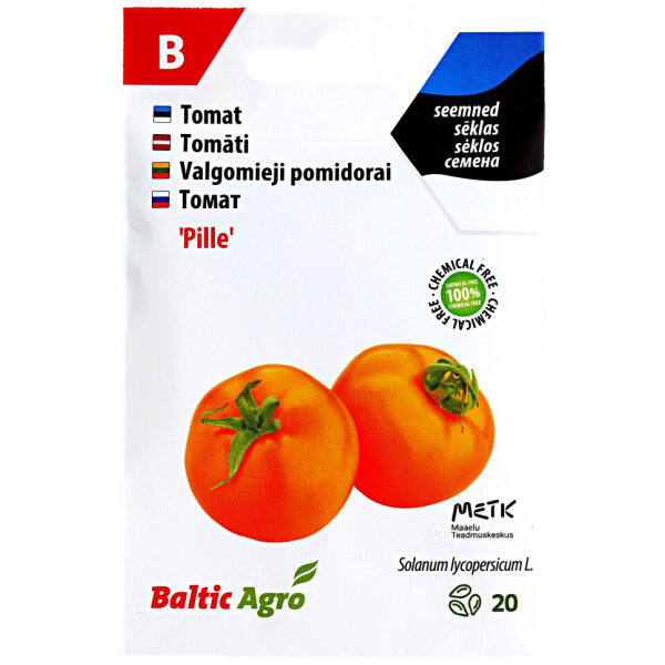 Tomato seeds 'Pille'