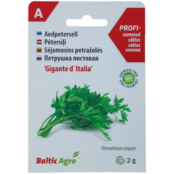 Parsley Seeds 'Gigante d`Italia'