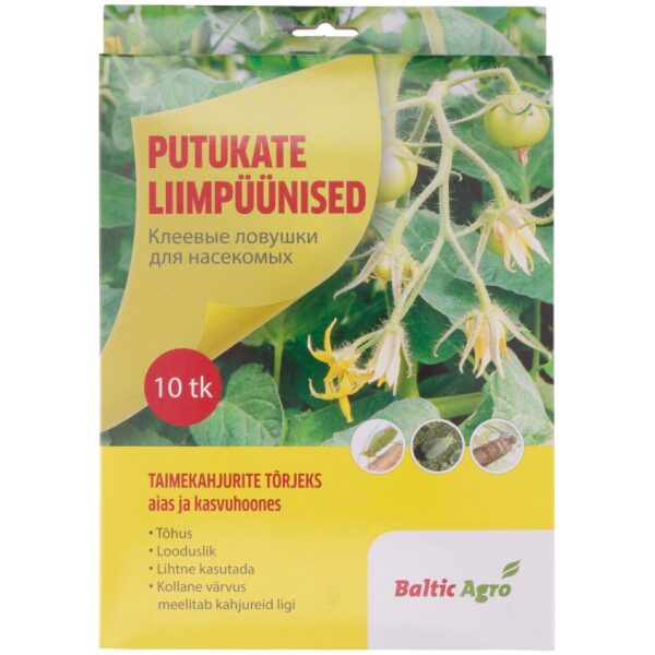 Kollane liimpüünis õue