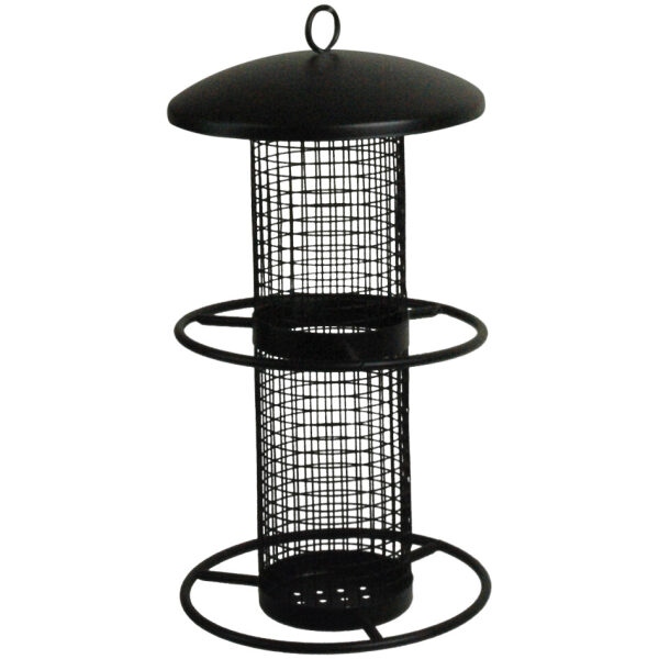 Bird Feeder for peanuts