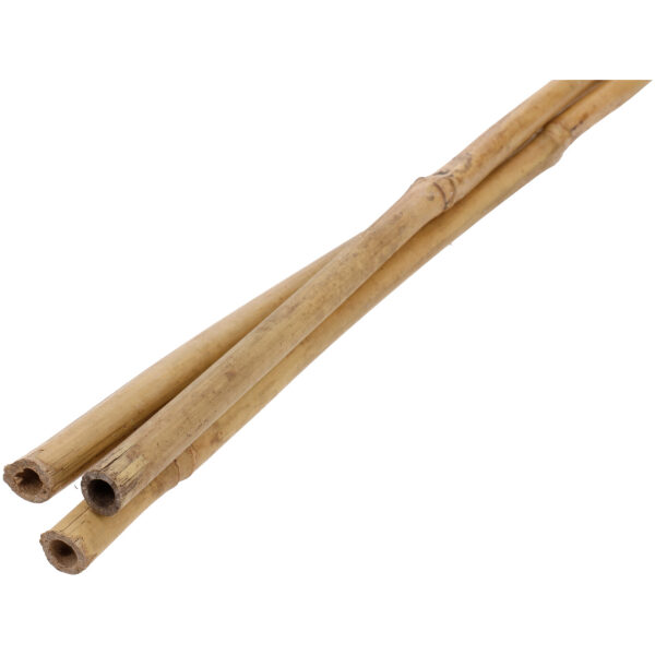 Plant Bamboo Support Stake 1,2 m