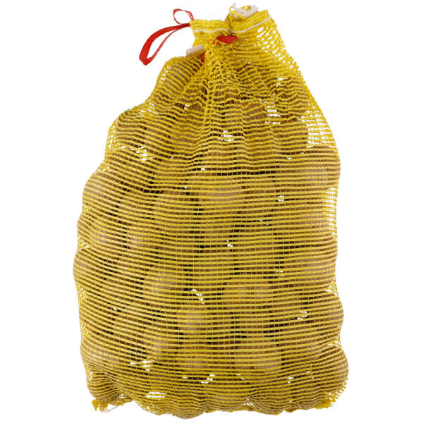 Seed Potato 'Soraya' - Image 2