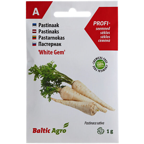 Pastinaak 'White Gem'