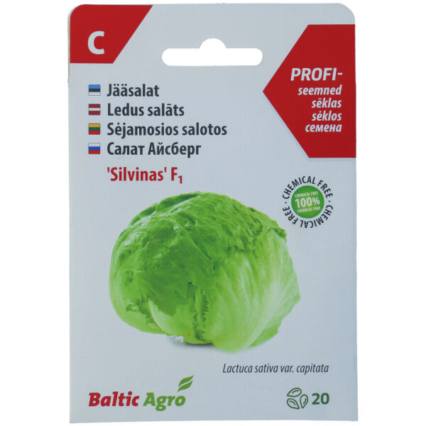 Iceberg Lettuce Seeds 'Silvinas' F1