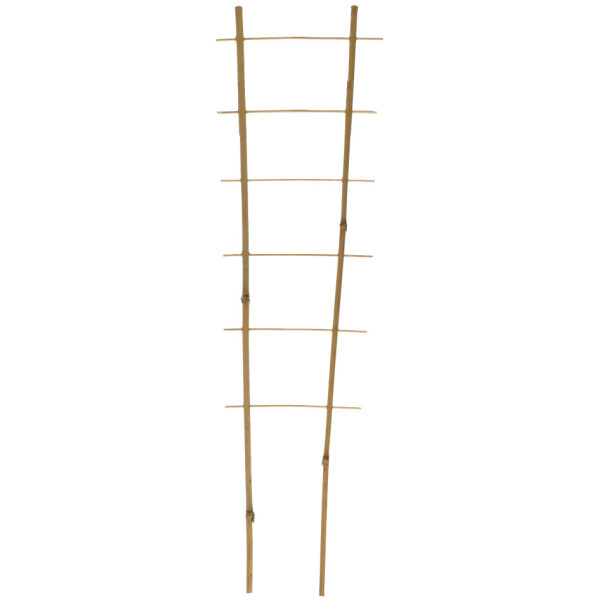 Taimeredel 150 cm