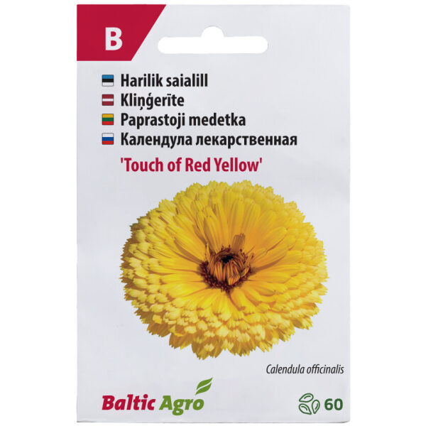 Saialill 'Touch of Red Yellow'