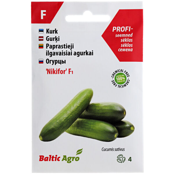 Cucumber 'Nikifor' F1