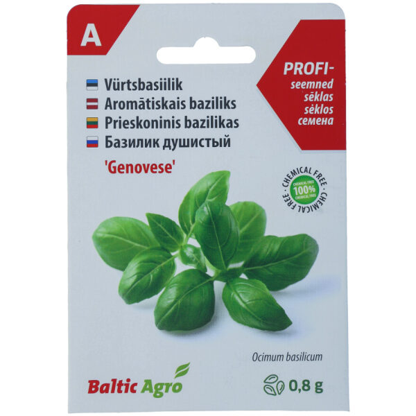 Базилик душистый 'Genovese'