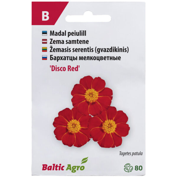 Peiulill 'Disco Red'