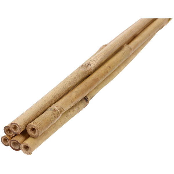 Plant Bamboo Support Stake 60 cm