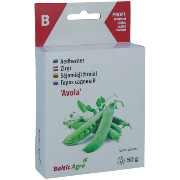 Garden Pea Seeds 'Avola'
