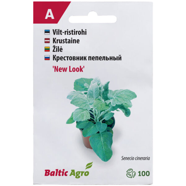 Vilt-ristirohi 'New Look'