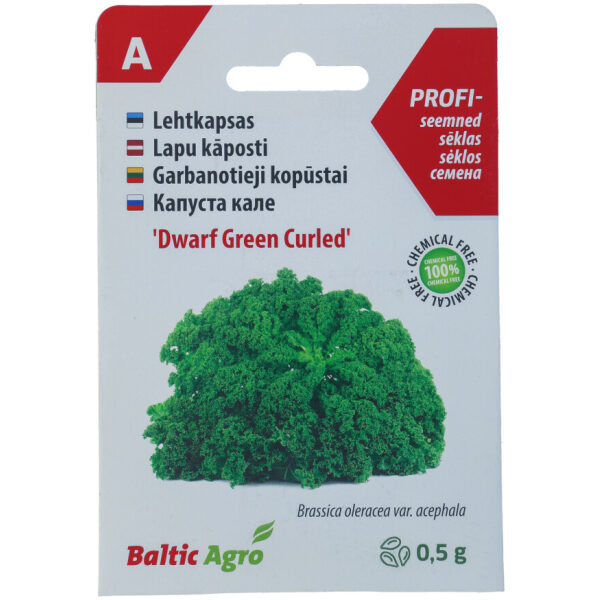 Lehtkapsas `Dwarf Green Curled`