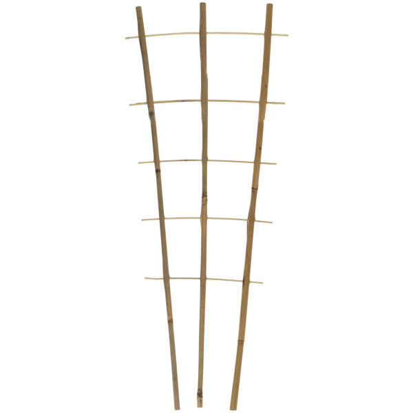 Taimeredel 240 cm