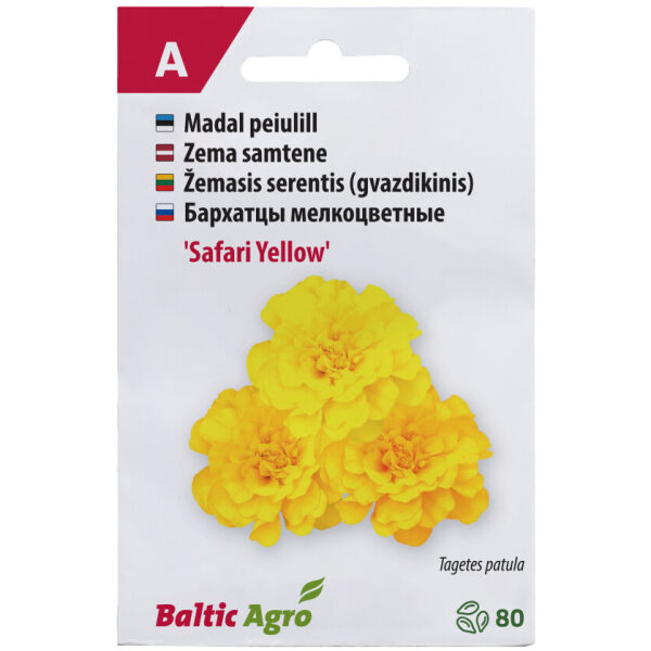 Бархатцы мелкоцветные 'Safari Yellow'