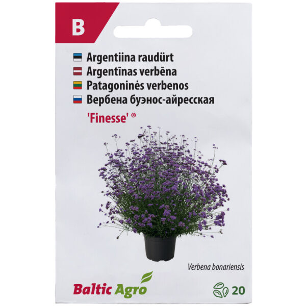 Argentiina raudürt 'Finesse'