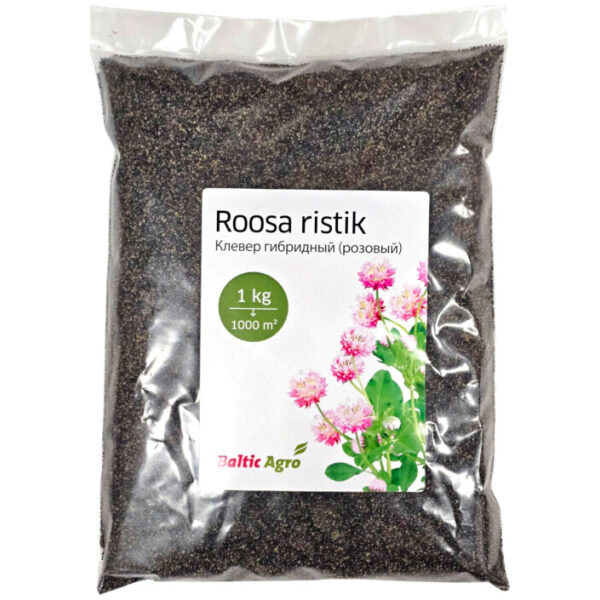 Alsike clover