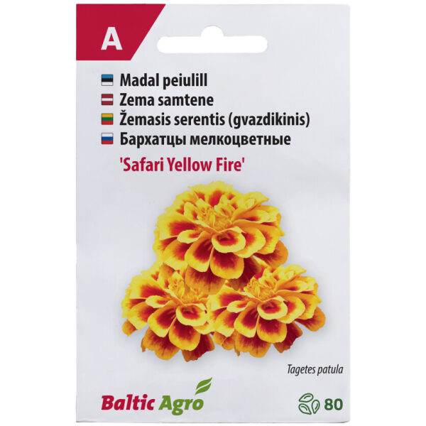 Peiulill 'Safari Yellow Fire'
