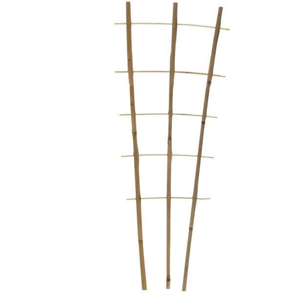 Plant Ladder Bamboo 180 cm