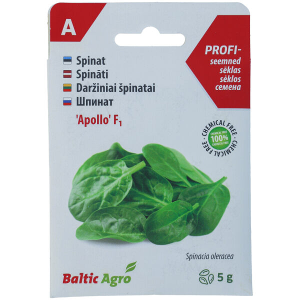 Spinach Seeds 'Apollo' F1