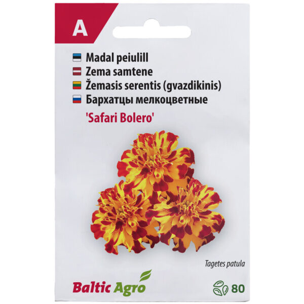Бархатцы мелкоцветные 'Safari Bolero'