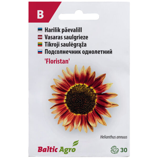 Päevalill 'Floristan'