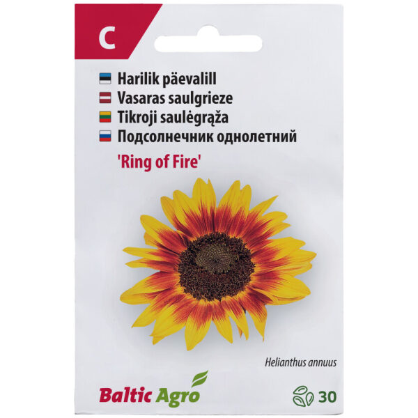 Päevalill 'Ring of Fire'