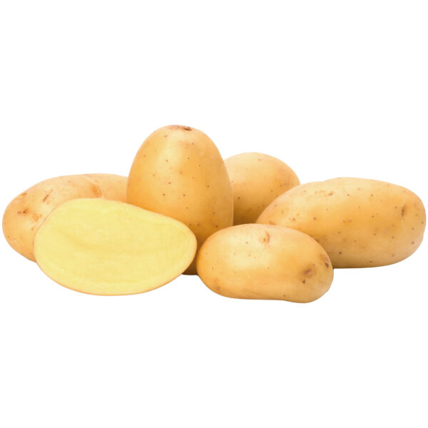 Seed Potato 'Soraya'