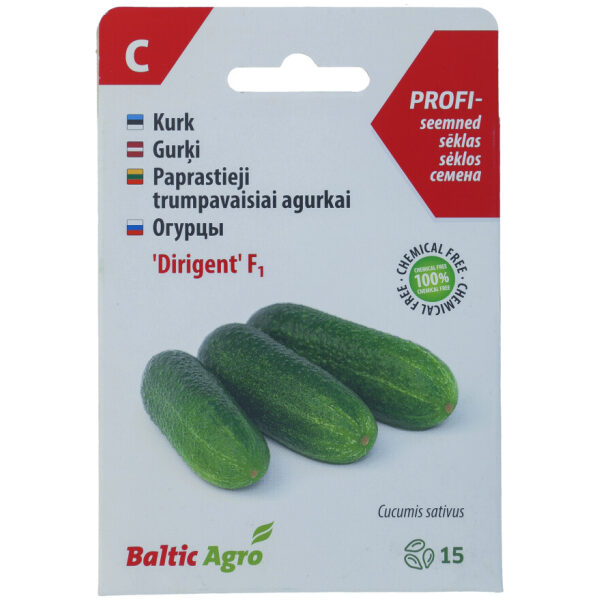Cucumber Seeds 'Dirigent' F1