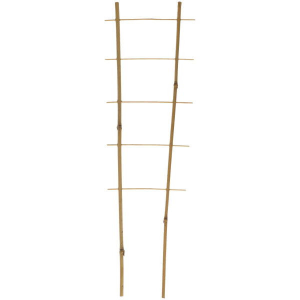 Plant Ladder Bamboo 60 cm