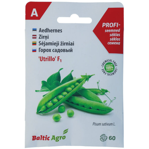 Garden Pea Seeds 'Utrillo'