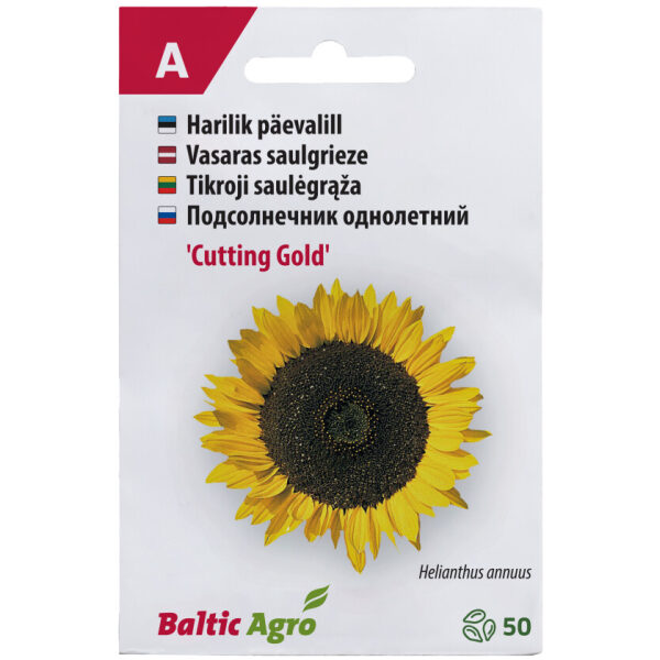 Päevalill 'Cutting Gold'