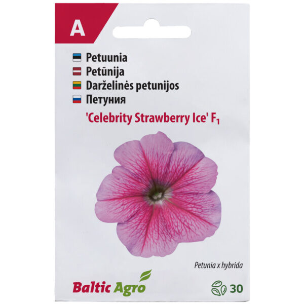 Petuunia 'Celebrity Strawberry Ice'