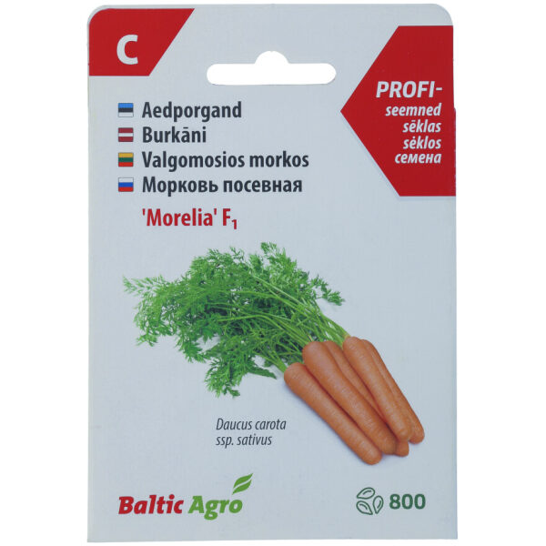 Carrot Seeds 'Morelia' F1