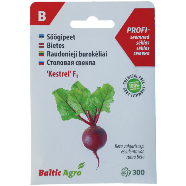 Beetroot Seeds 'Kestrel' F1