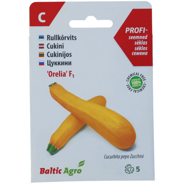 Rullkõrvits 'Orelia' F1