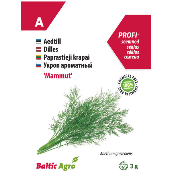 Aedtill 'Mammut'
