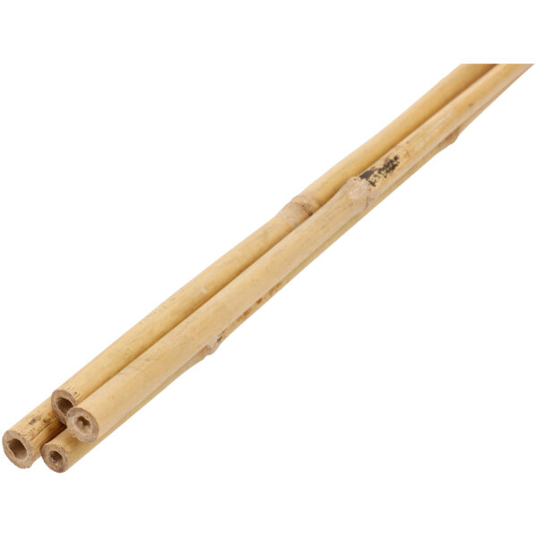 Plant Bamboo Support Stake 90 cm